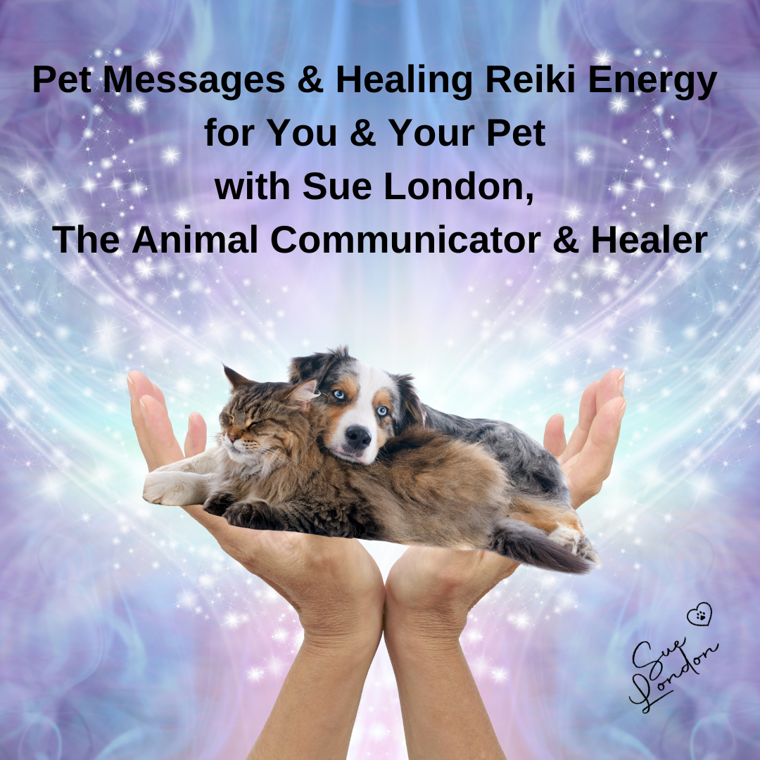 Pet Messages & Healing Reiki Energy for you & your pet