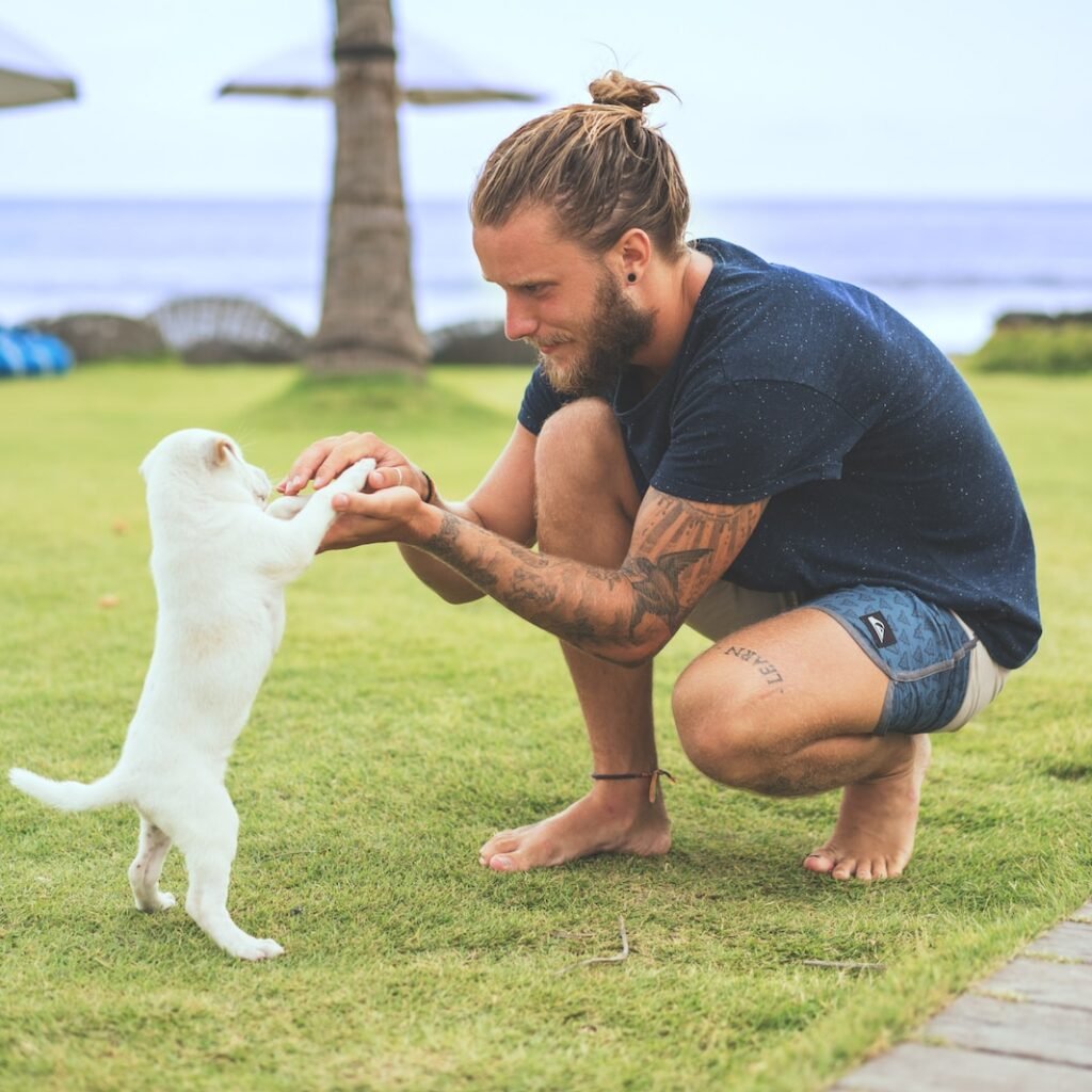 man squatting holding two foot of a white puppy on green sod at daytime